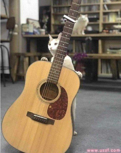 /upload/bbs/2019/07/18/a060ab88-4af8-453c-ab38-852e25ce06ff.jpg /upload/bbs/2019/07/18/a060ab88-4af8-453c-ab38-852e25ce06ff.jpg