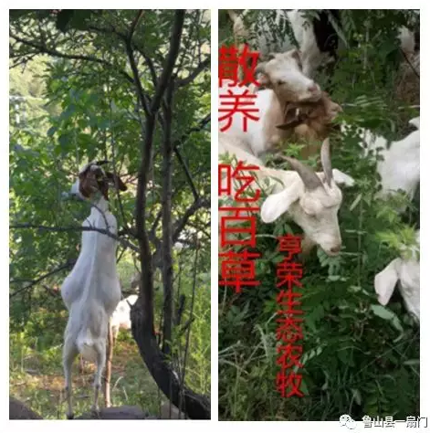 /upload/bbs/2019/09/08/d6dfec72-ec48-403c-917b-829675bbc3a2.png /upload/bbs/2019/09/08/d6dfec72-ec48-403c-917b-829675bbc3a2.png