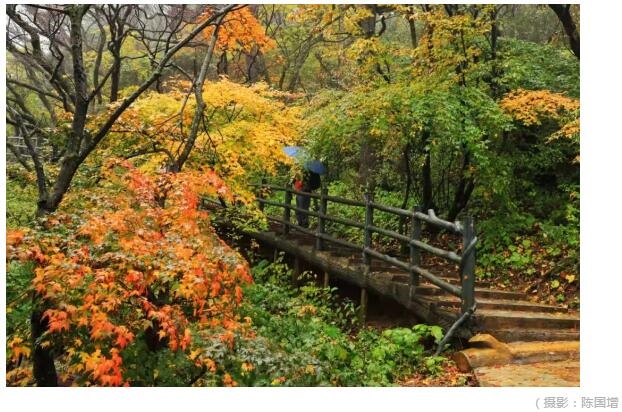 /upload/bbs/2019/10/18/164c424b-b2ac-41ad-8c0e-35ca1608170c.jpg /upload/bbs/2019/10/18/164c424b-b2ac-41ad-8c0e-35ca1608170c.jpg