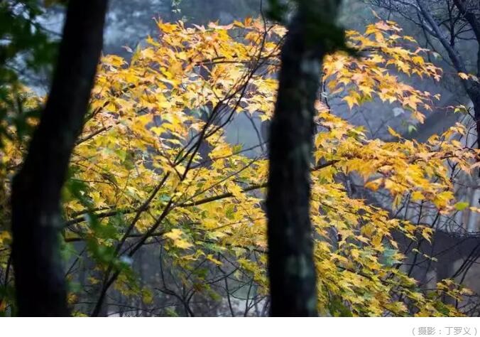 /upload/bbs/2019/10/18/6178146b-43b0-47ea-9ec0-e8676fe7405e.jpg /upload/bbs/2019/10/18/6178146b-43b0-47ea-9ec0-e8676fe7405e.jpg