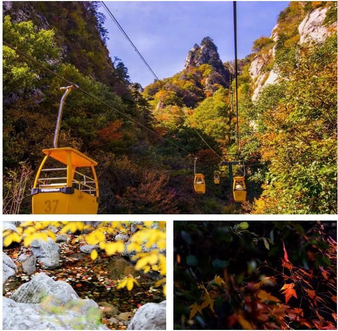 /upload/bbs/2019/10/18/91e50e51-9143-4cb1-aa26-f56df234c919.jpg /upload/bbs/2019/10/18/91e50e51-9143-4cb1-aa26-f56df234c919.jpg