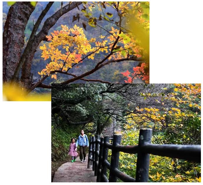 /upload/bbs/2019/10/18/bf7d6be6-74d0-4926-b08c-14f283da247f.jpg /upload/bbs/2019/10/18/bf7d6be6-74d0-4926-b08c-14f283da247f.jpg