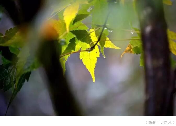 /upload/bbs/2019/10/18/fe96654f-f14d-4e5c-bc90-459a58afdc97.jpg /upload/bbs/2019/10/18/fe96654f-f14d-4e5c-bc90-459a58afdc97.jpg