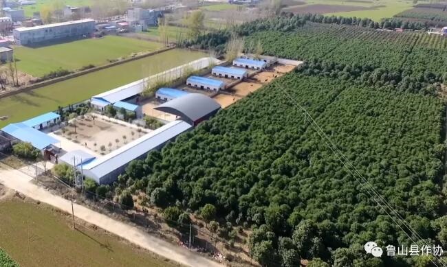 /upload/bbs/2019/12/28/63f22e63-e044-421e-a862-4d1545e2e40c.jpg /upload/bbs/2019/12/28/63f22e63-e044-421e-a862-4d1545e2e40c.jpg