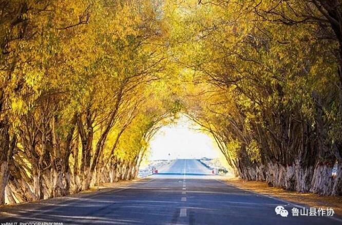 /upload/bbs/2019/12/28/bf2bea32-60ed-402d-934f-cb2f08e72a17.jpg /upload/bbs/2019/12/28/bf2bea32-60ed-402d-934f-cb2f08e72a17.jpg