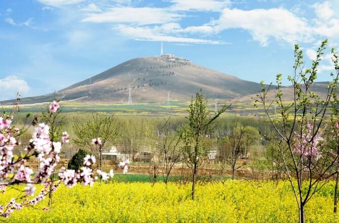 /upload/bbs/2020/03/14/f99f5626-c61f-4696-b7b9-29e8e3bc66c0.jpg /upload/bbs/2020/03/14/f99f5626-c61f-4696-b7b9-29e8e3bc66c0.jpg