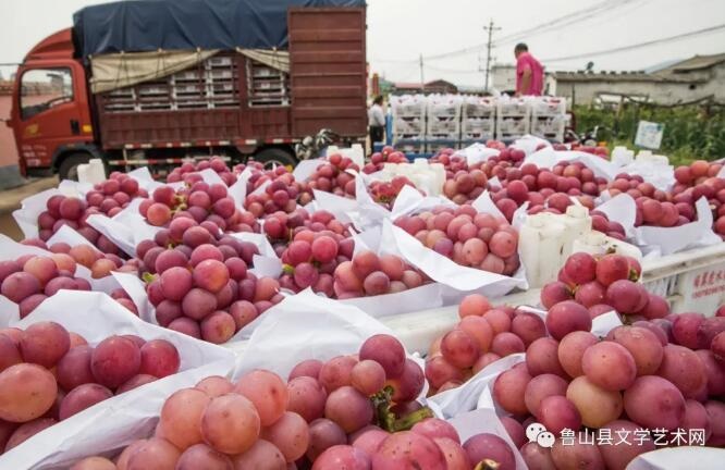 /upload/bbs/2021/08/11/b15bbaef-8cb7-43f2-9cc7-3f3dcb3792d8.jpg /upload/bbs/2021/08/11/b15bbaef-8cb7-43f2-9cc7-3f3dcb3792d8.jpg