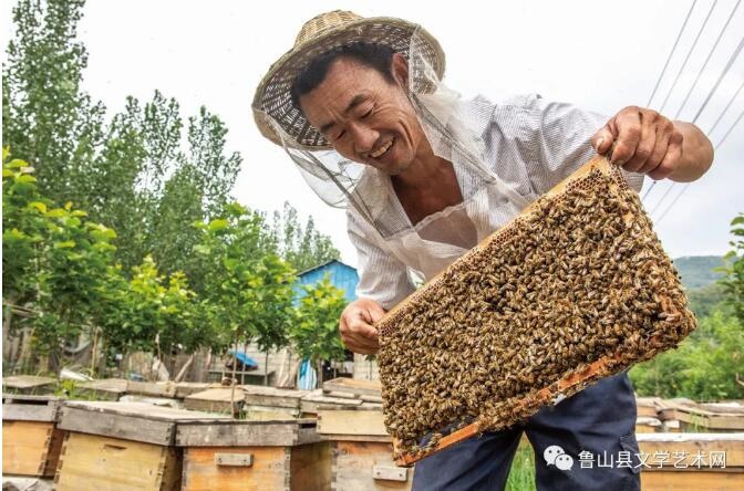 /upload/bbs/2021/08/15/1b8acf8e-5651-4d05-a9c7-eb9c3677620f.jpg /upload/bbs/2021/08/15/1b8acf8e-5651-4d05-a9c7-eb9c3677620f.jpg